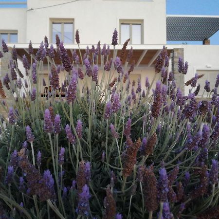 Nesaea Seafront House Βίλα Παράσπορος Εξωτερικό φωτογραφία