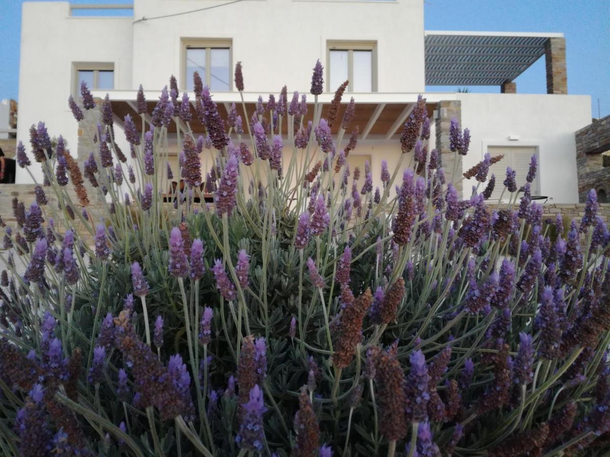 Nesaea Seafront House Βίλα Παράσπορος Εξωτερικό φωτογραφία